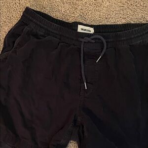Taylor Stitch Dark Shorts